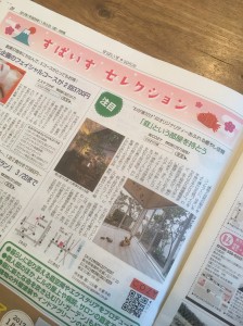 cozy くまにちすぱいす cozy くまにちすぱいす