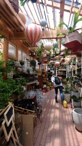 cozy garden solsofarm 雑貨 cozy garden solsofarm 雑貨
