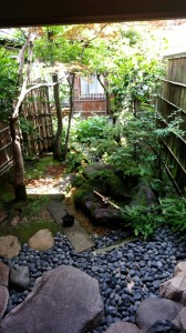 cozy garden 庭 兼六園
